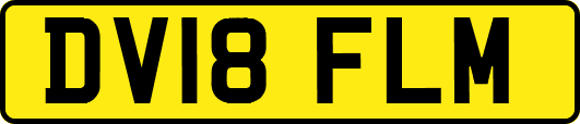 DV18FLM