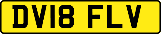 DV18FLV