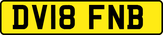 DV18FNB