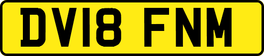 DV18FNM