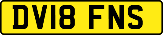 DV18FNS