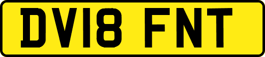 DV18FNT