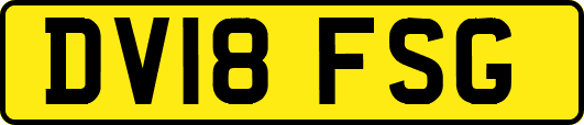 DV18FSG