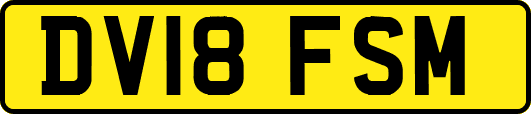 DV18FSM
