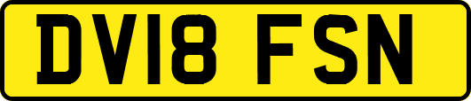 DV18FSN