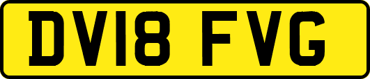 DV18FVG
