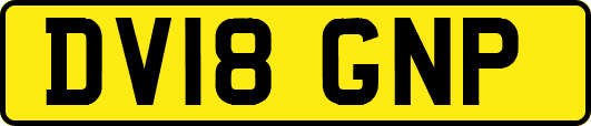 DV18GNP
