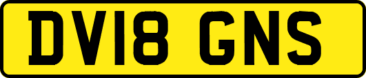 DV18GNS