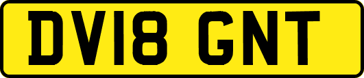 DV18GNT