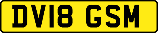 DV18GSM