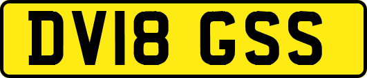 DV18GSS