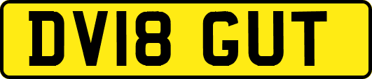 DV18GUT
