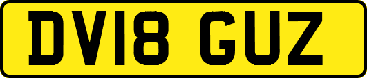 DV18GUZ