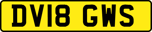 DV18GWS