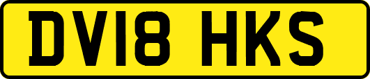 DV18HKS