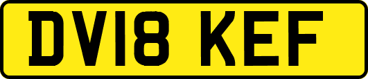 DV18KEF