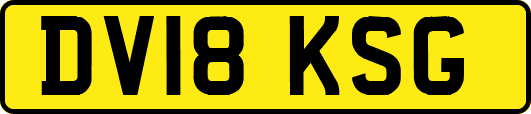 DV18KSG