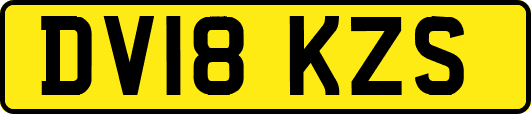 DV18KZS