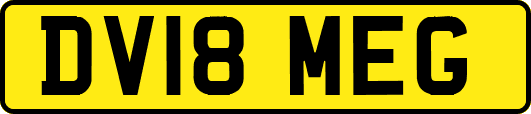 DV18MEG