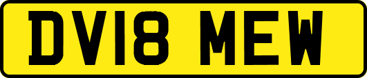 DV18MEW