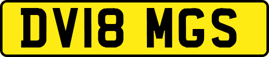 DV18MGS