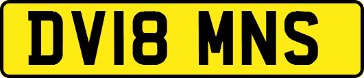 DV18MNS