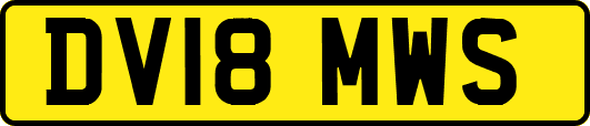 DV18MWS