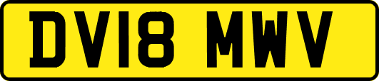 DV18MWV