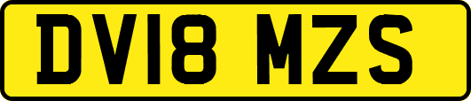 DV18MZS