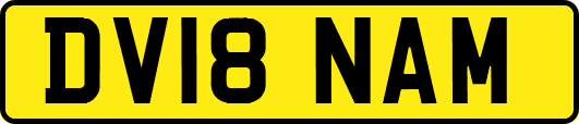 DV18NAM