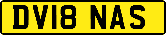 DV18NAS