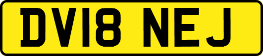 DV18NEJ