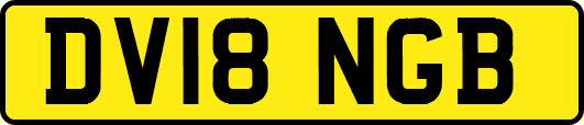 DV18NGB