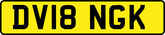 DV18NGK