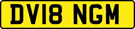 DV18NGM
