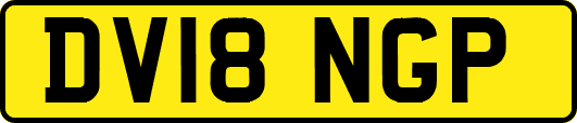 DV18NGP