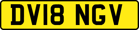 DV18NGV