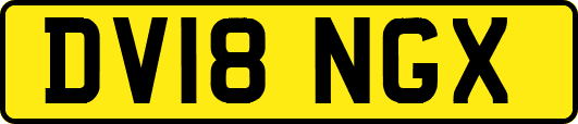 DV18NGX