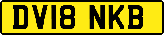 DV18NKB
