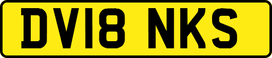 DV18NKS