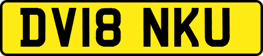 DV18NKU