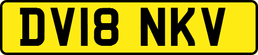 DV18NKV