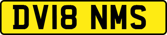 DV18NMS