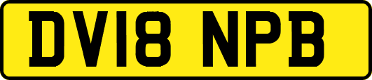 DV18NPB