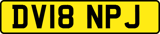 DV18NPJ