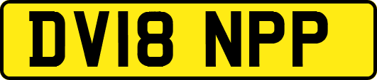 DV18NPP
