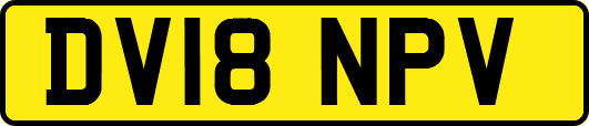 DV18NPV