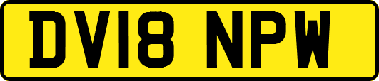 DV18NPW
