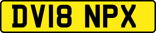 DV18NPX