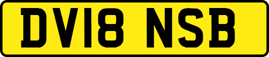 DV18NSB